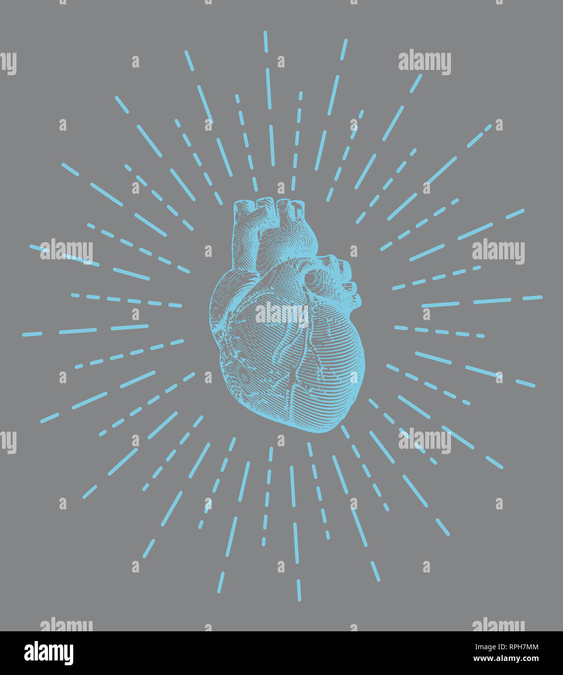 Blue engraving human heart illustration on gray background with shining star burst stroke drawing Stock Photo