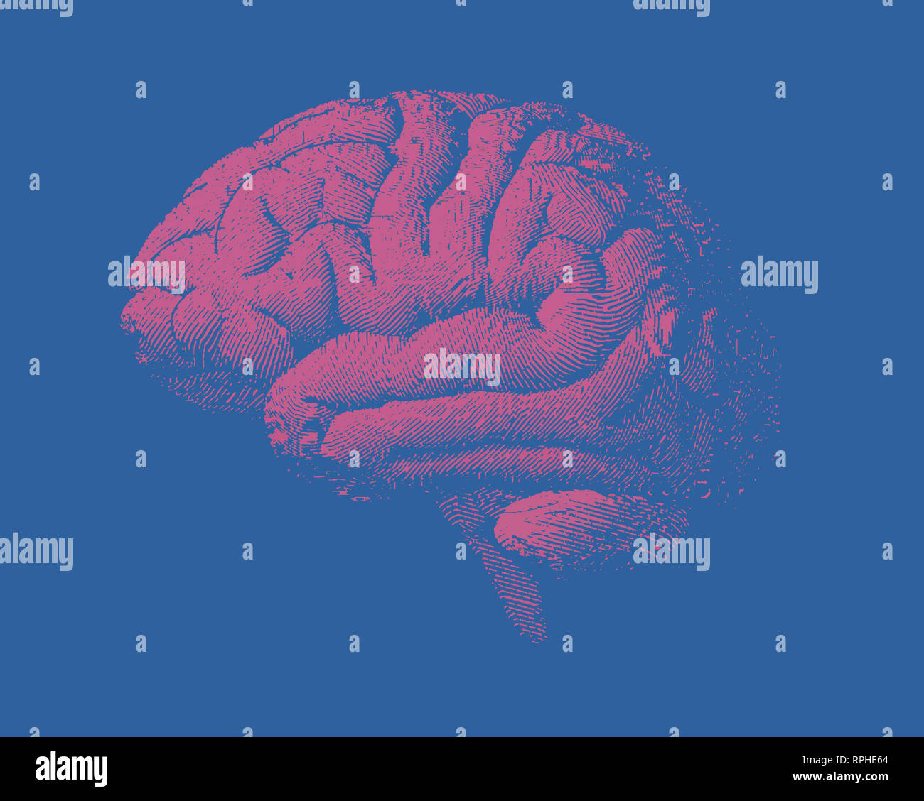 Pink engraving brain side view illustration with finger print shade ...