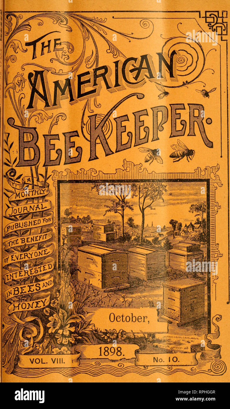 . The American bee keeper. Bee culture; Honey. . Please note that these images are extracted from scanned page images that may have been digitally enhanced for readability - coloration and appearance of these illustrations may not perfectly resemble the original work.. Falconer, N. Y. : W. T. Falconer Manfg. Co. Stock Photo