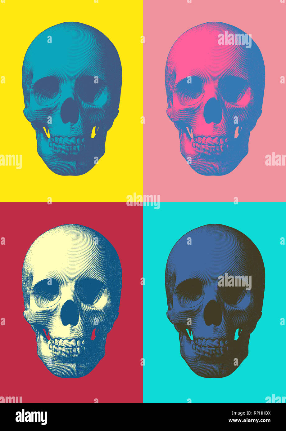 Set of pop art engraved skull vector illustration in front view Stock Photo  - Alamy