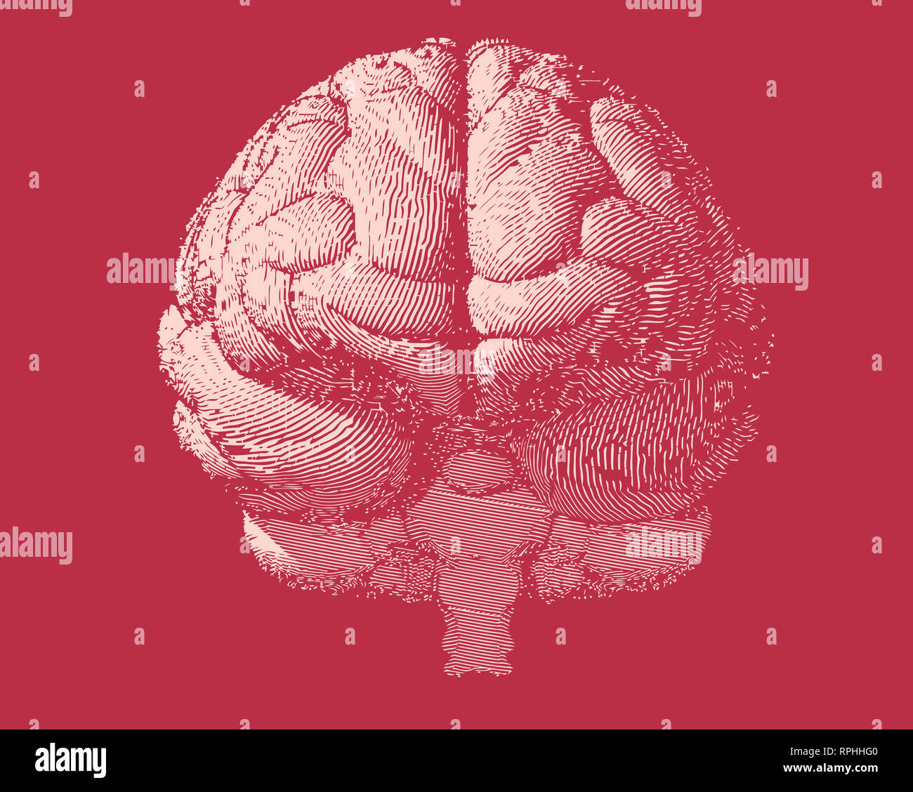 White engraving brain illustration in front view on red background ...