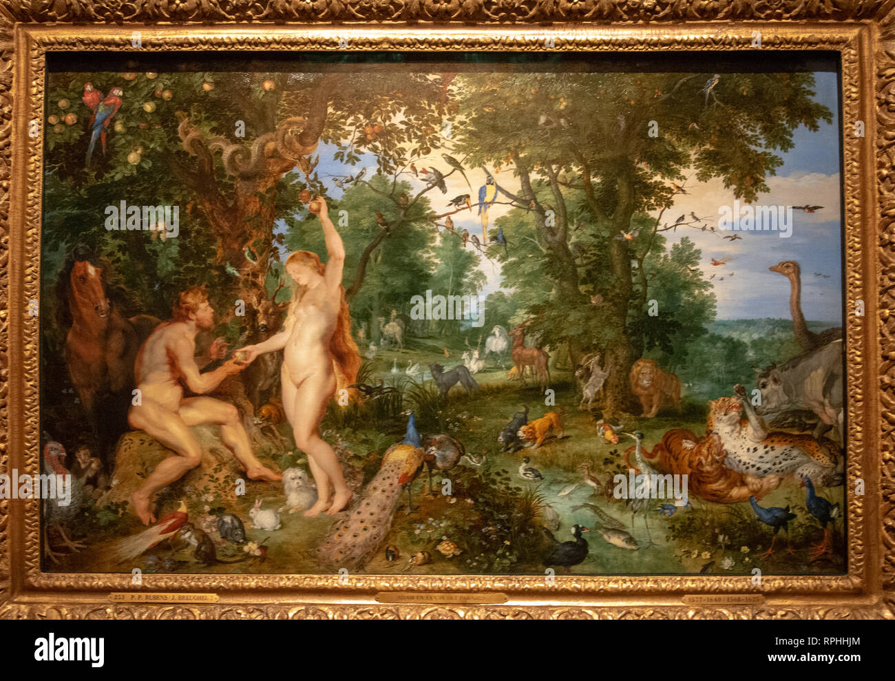 The garden of Eden with tyhe fall of man, by painters Peter Paul Rubens and Jan Breughel Stock Photo