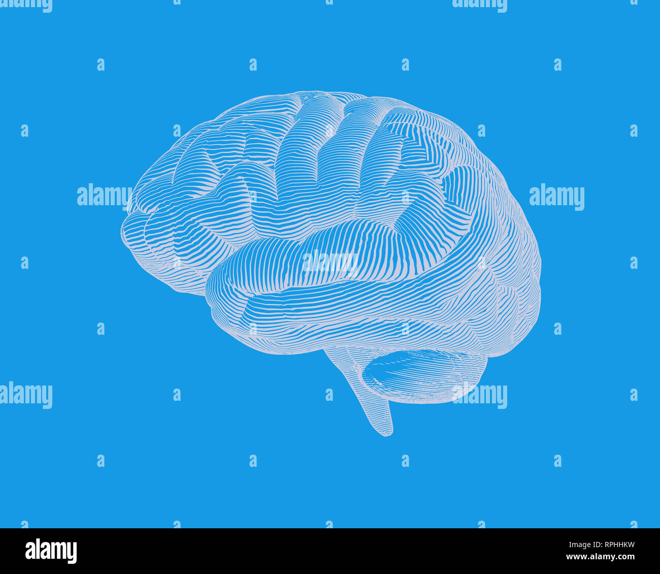White engraving brain illustration lateral side view isolated on blue ...