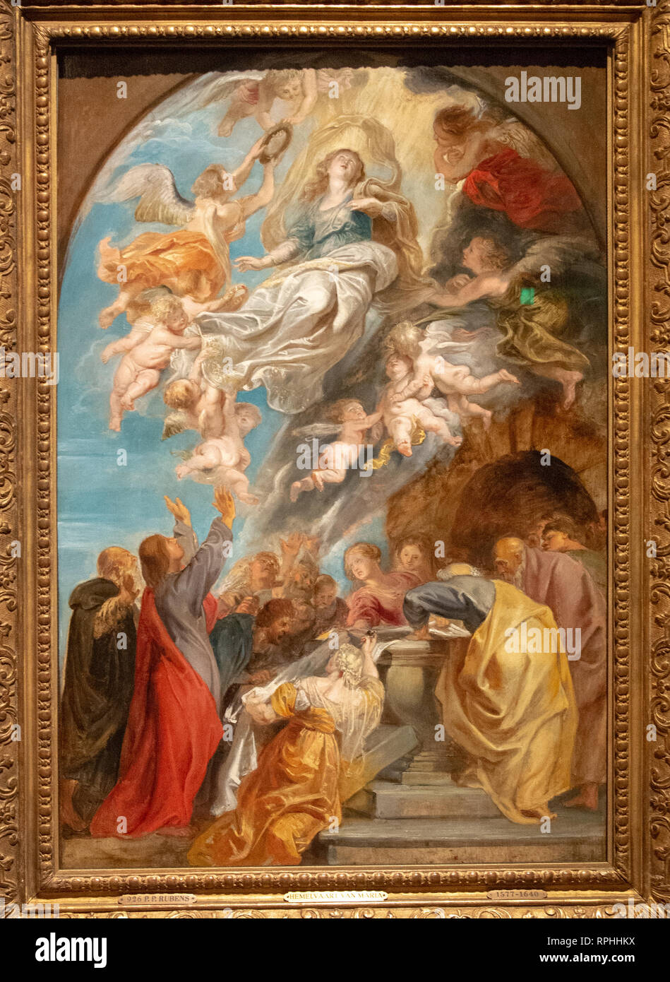 Modello for the assumption of the virgin, by painter Peter Paul rubens Stock Photo