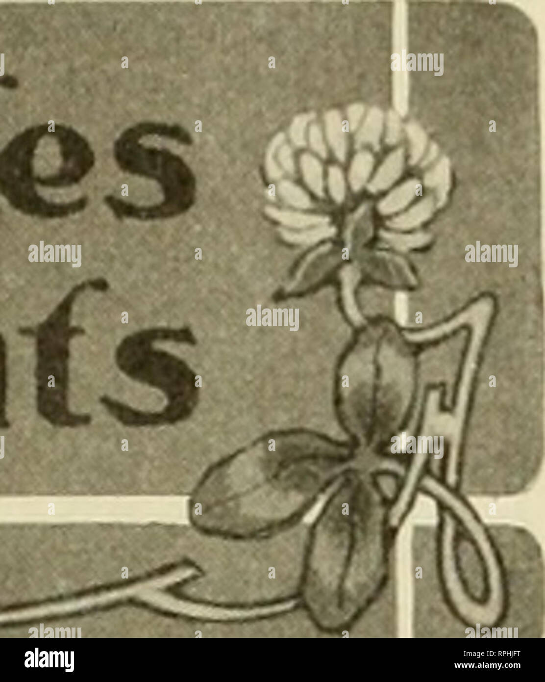 . American bee journal. Bee culture; Bees. editorial Mote and Commenfs. Prices of 1907 Honey There is now every indication that the crop of honey of 1907 is to be a very light one. Every bee-keeper who has a surplus to sell should recognize the fact of a shortage and not foolishly give honey away, that is, sell it at too low a price. There will be no need of it. Honey, evidently, is to be honey this year. And now that pure-food laws are getting in their good work, there is no valid reason why any first-class honey put on the market this fall shouldn't bring a good price. Fruit is scarce, and c Stock Photo