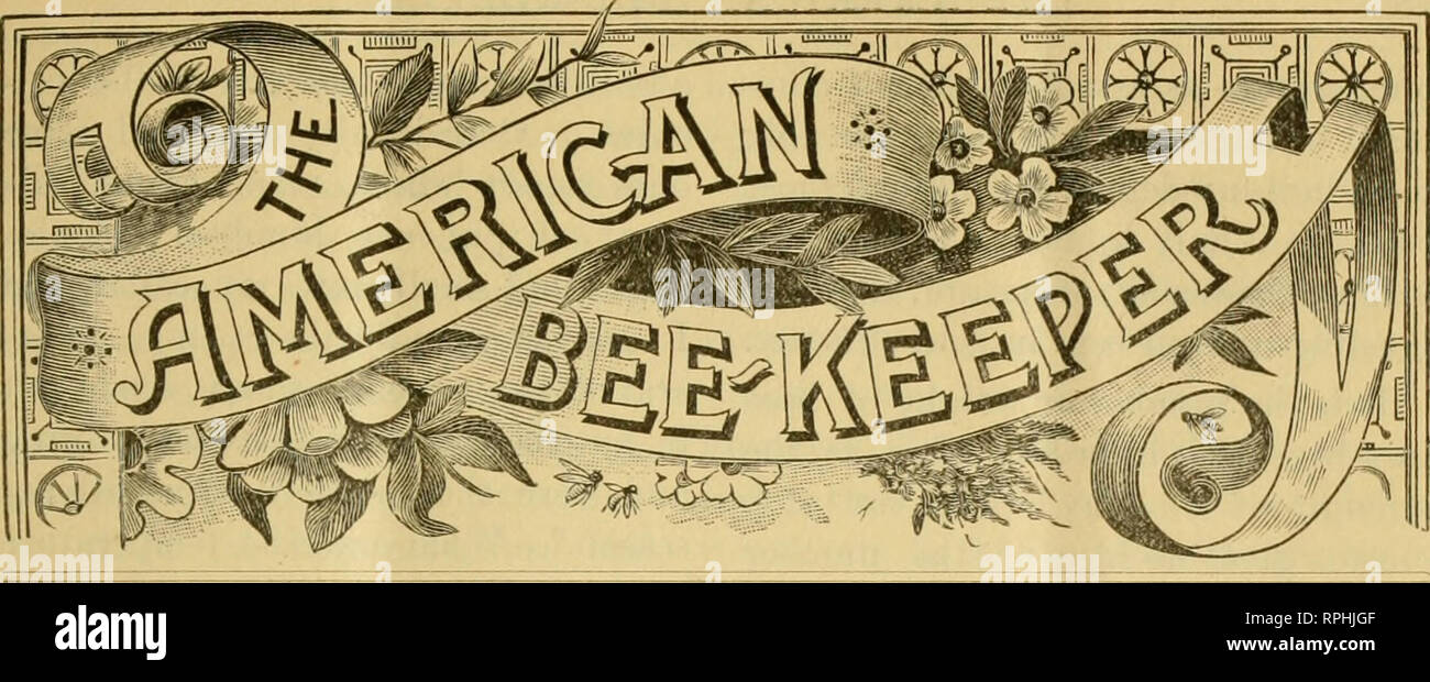 . The American bee keeper. Bee culture; Honey. VOL. I. F&amp;BRUflRY, 1891. NO. 2. their confinement by stress of weather. This one idea, it seems, takes posses- sion of bee-keepers, with but few ex- ceptions. Those who write gushingly about ventilation constitute them- Managemeni off Bees in Winter. BY C J ROBINSON. The problem of safe wintering in high, cold regions, is not yet solved, and the subject is still one of much selves learned physiologists, and at- importance to bee keepers in rigor- tempt to theorize by likening bees ously cold climates. The condition physically to mammals; such  Stock Photo