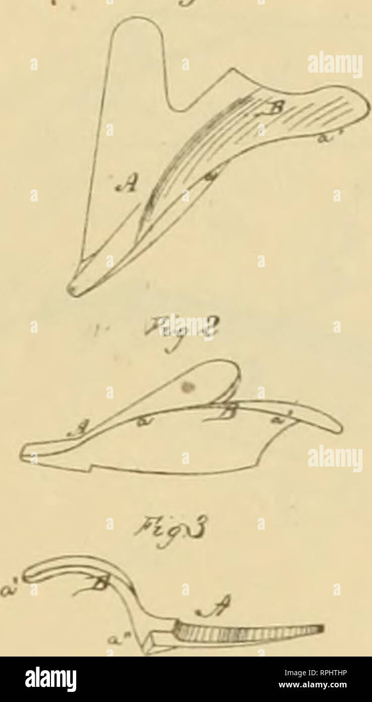 361 b c hi-res stock photography and images - Page 2 - Alamy