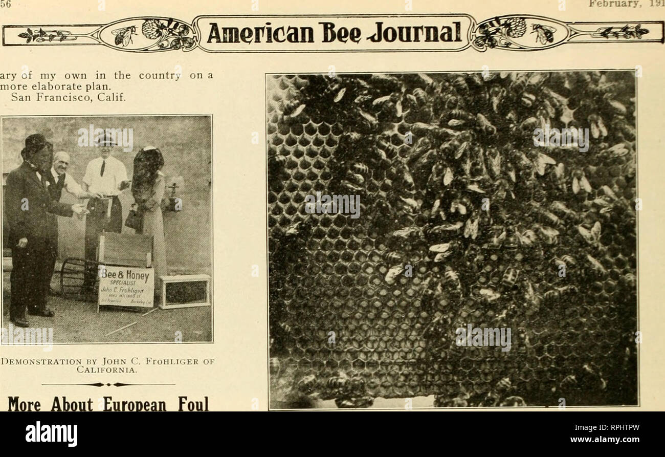 American bee journal. Bee culture; Bees. February 1913. Nore About 