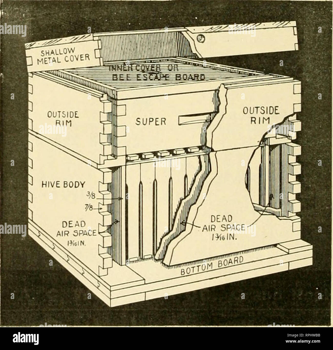American bee journal. Bee culture; Bees. February, 1913 rM^rican 