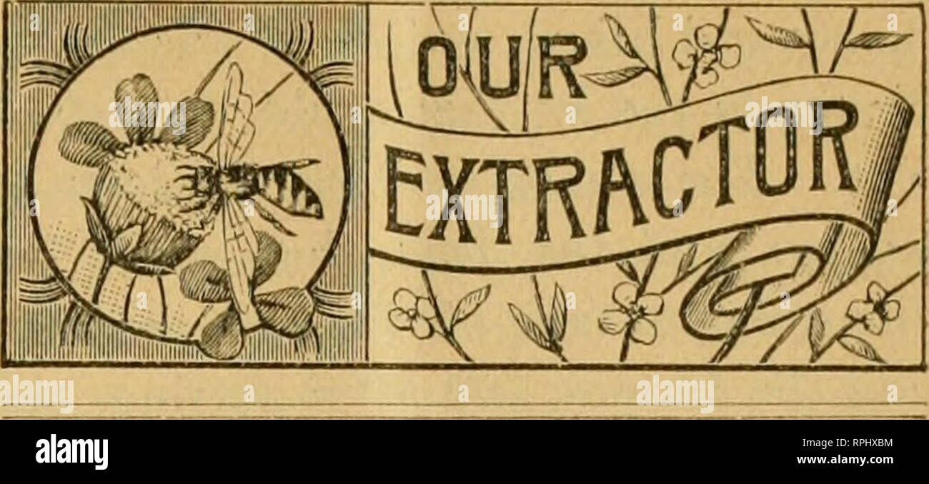 The American Bee Keeper Bee Culture Honey Thr American Bee