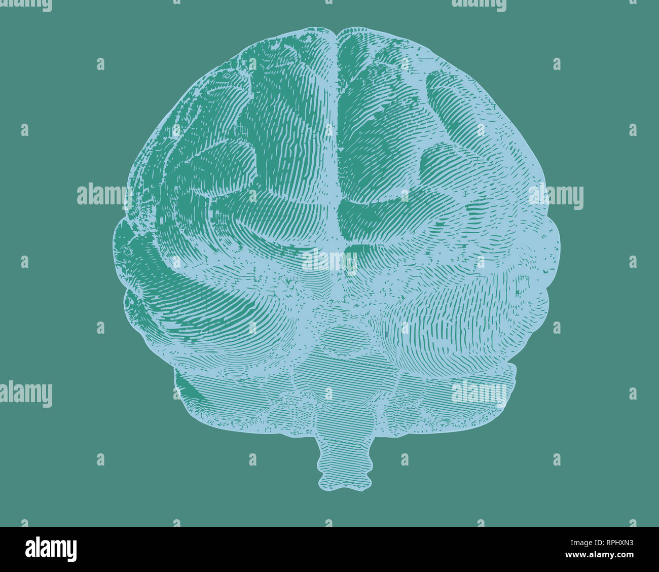 Negative engraving brain illustration in front view on dark green ...