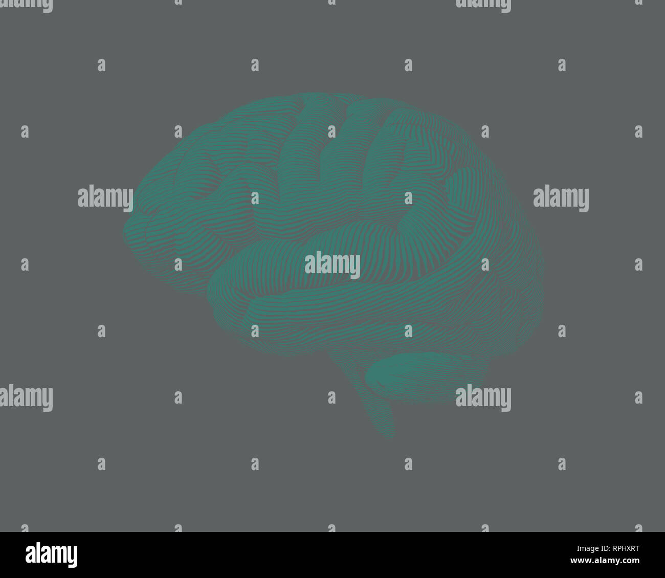 Light green engraving brain side view illustration isolated on gray ...