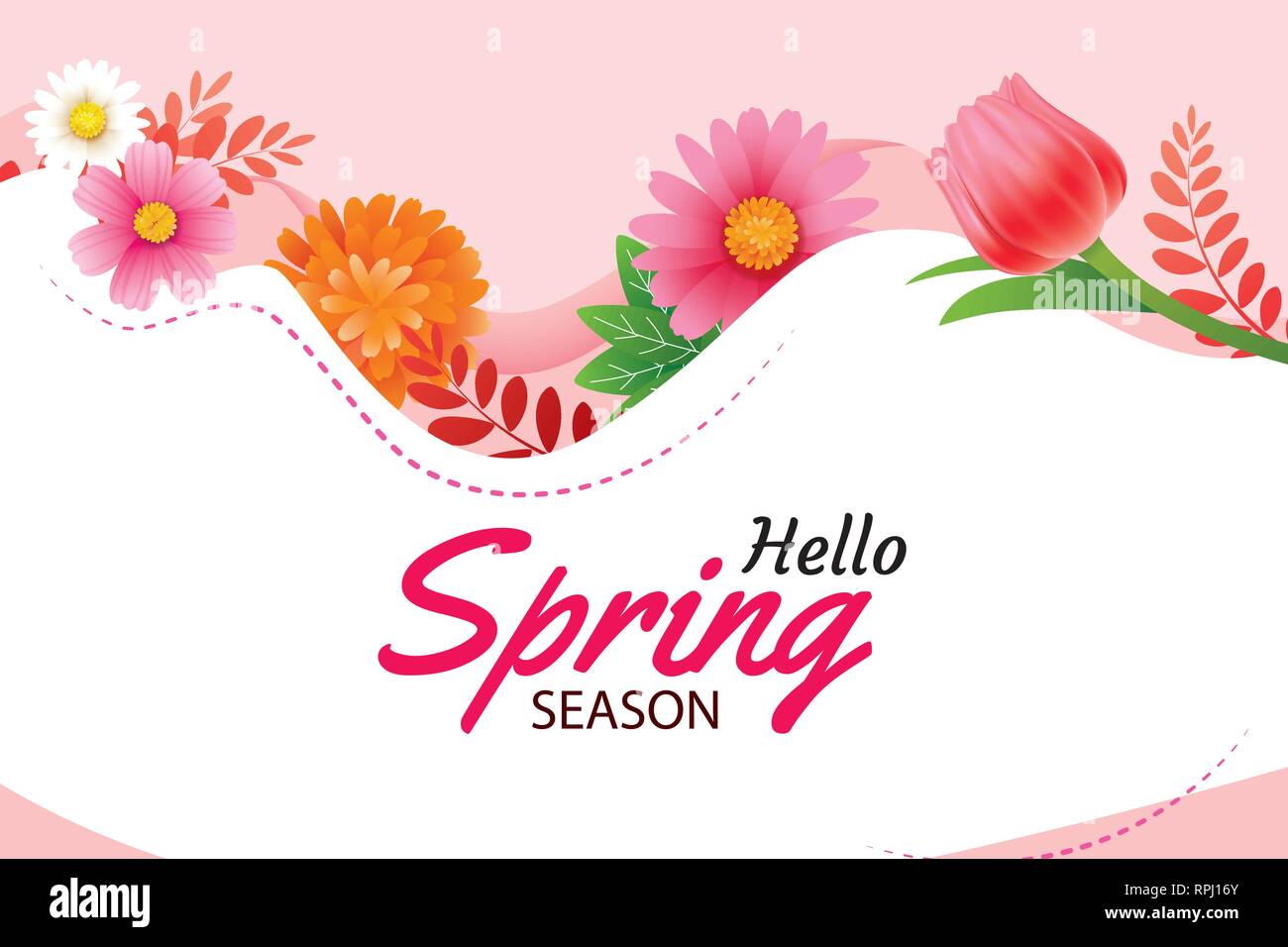 Hello Spring Greeting Card And Invitation With Blooming Flowers Background Template Design For Decor Flyers Posters Brochure Banner Stock Vector Image Art Alamy