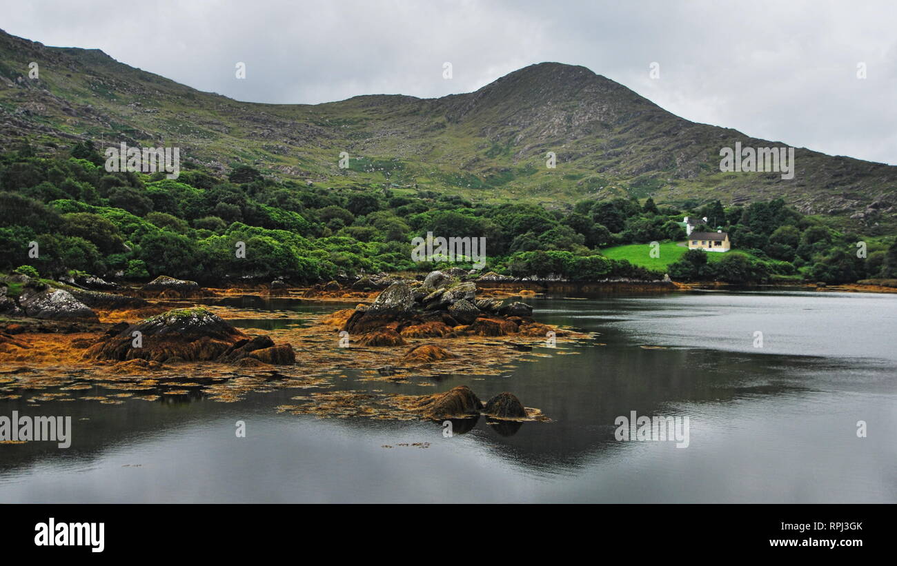 Freestanding house at lake shore with emerald forest around and mountain behind with overcast sky in countryside in Ireland. Stock Photo