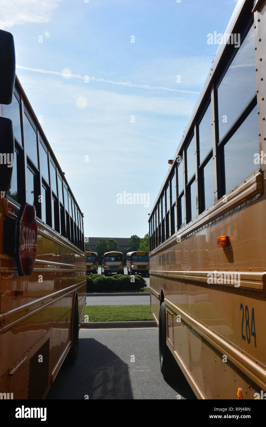 A large fleet of school buses from many perspectives as they are parked ...