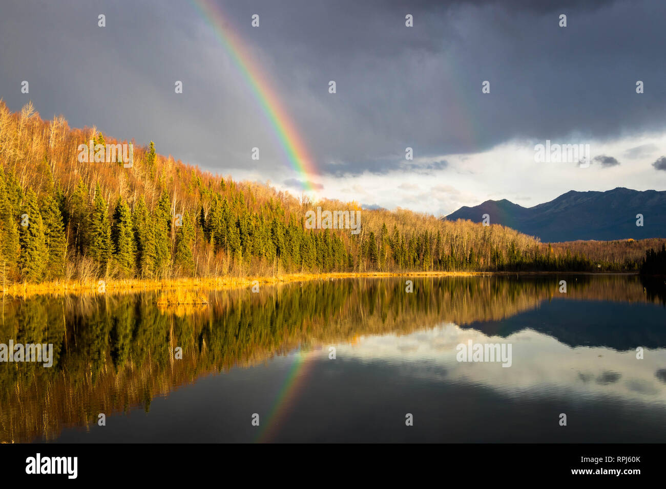 Rainbow reflected in peaceful lake after a brief rain shower. Stock Photo