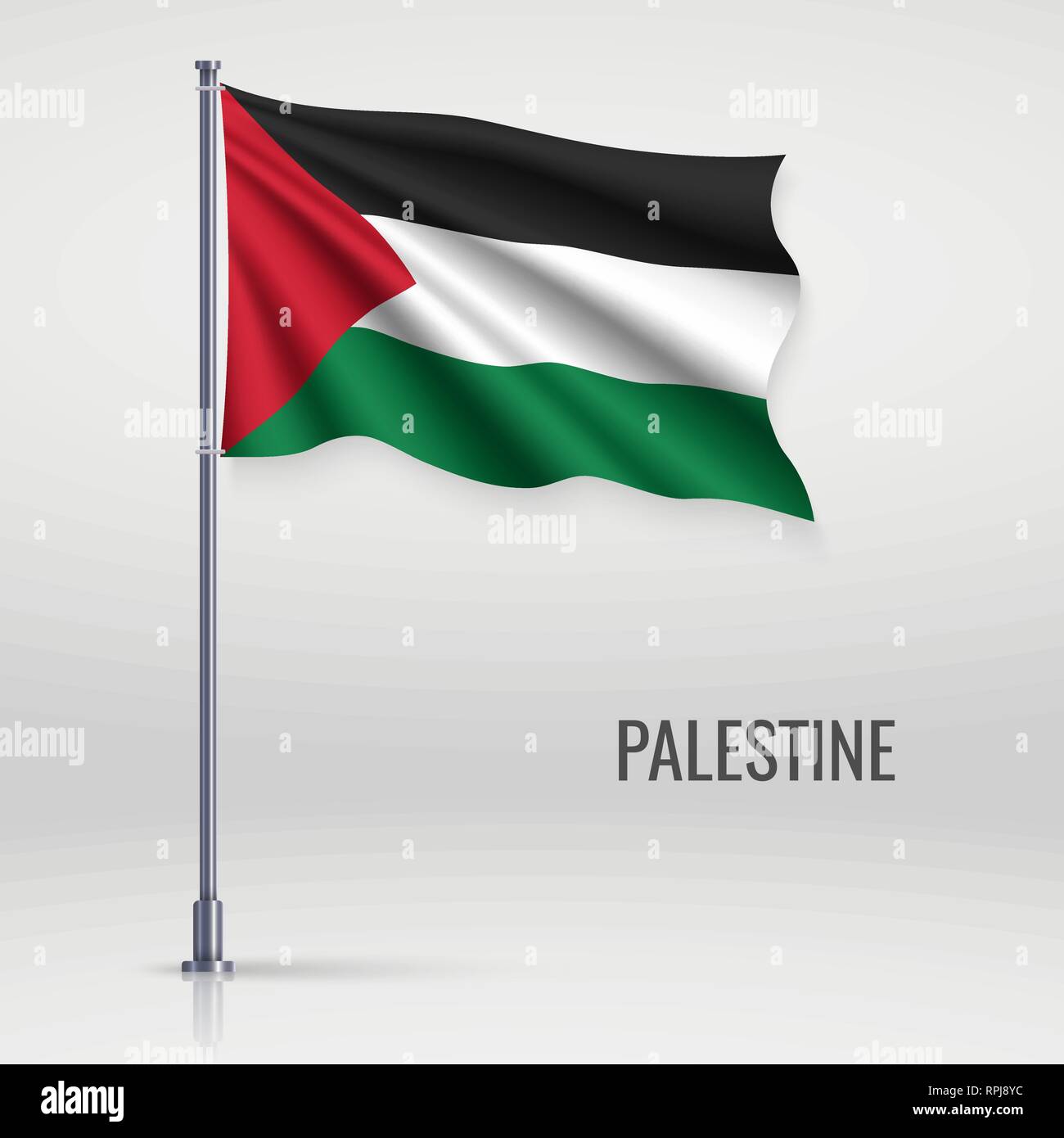 Palestine flag in the morning sun Royalty Free Vector Image