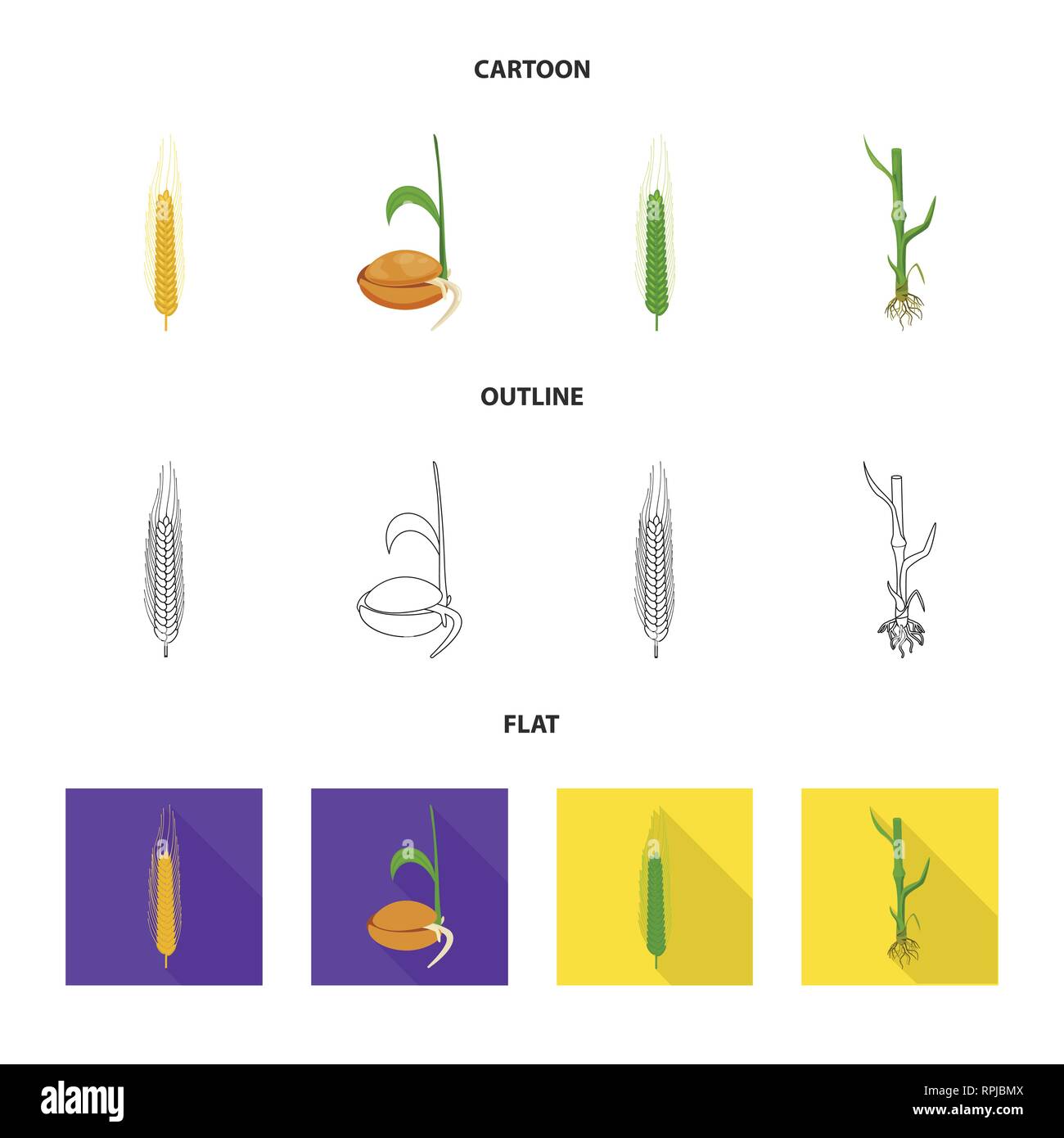 Corn Growth Stages Cut Out Stock Images Pictures Alamy