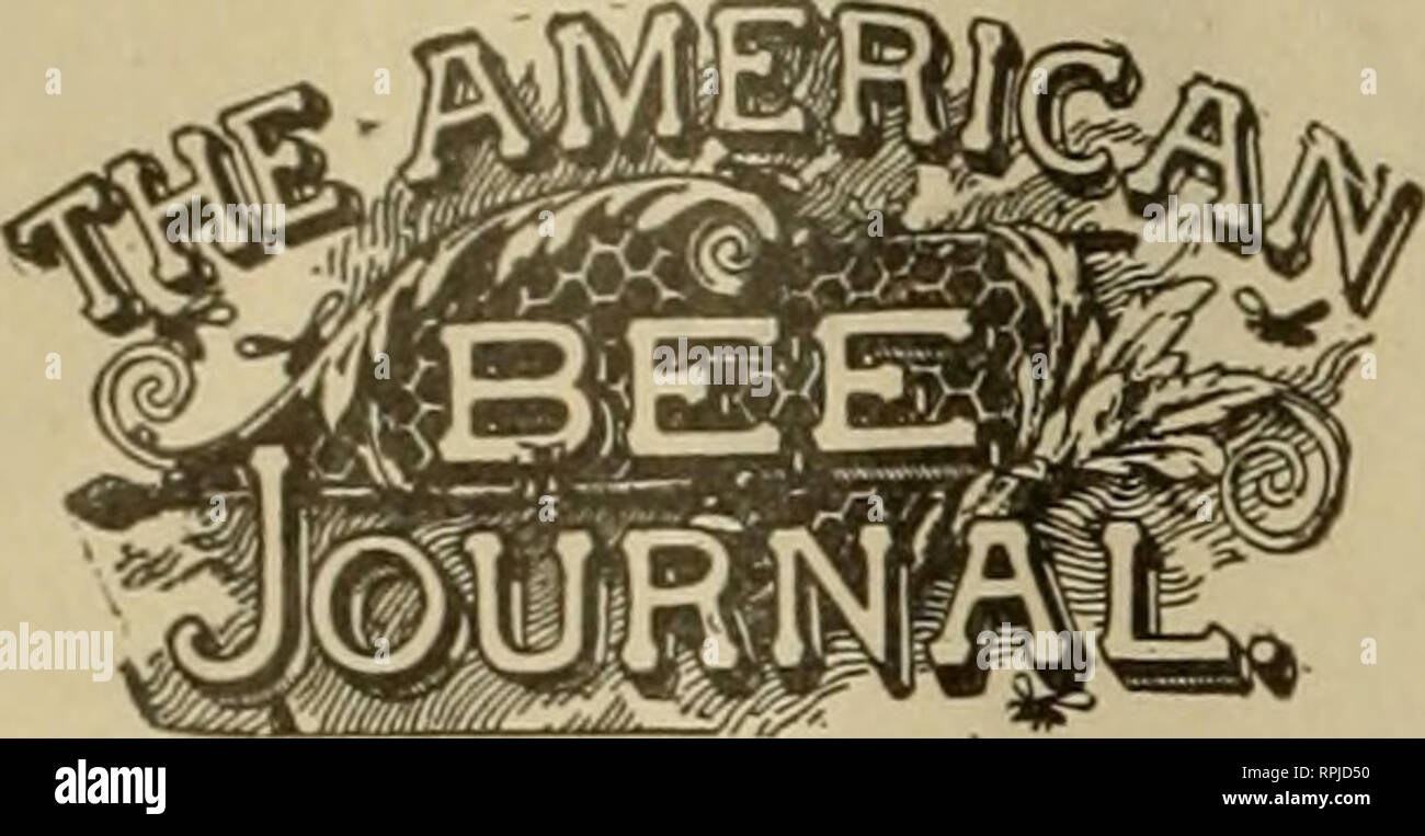. American bee journal. Bee culture; Bees. 642 THE AMERICAN BEE JOURNAL Sept. 14, 1905. PUBLISHED WEEKLY BY 6E0RGE W. YORK SCOMPAINY 334 Dearborn Street, Chicago, III. IMPORTANT NOTICES THE StTBSCRIPTION PRICE of this Journal 19 $1.00 a year, in the United States, Canada, and Mexico; all other countries in the Postal Union, 60 cents a year extra lor postage. Sample copy free. THE WBAPPERLABEI. DATE indicates the endof the month to which your subscription ispaiil. For instance. &quot;decoi&gt;&quot; on your label shows that it is paid to the end of Dtcember, I9u4. SUBSCRIPTION RECEIPTS.—We do n Stock Photo