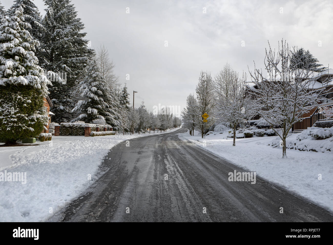 Plowed Salted de-iced street in North American suburban neighborhood Happy Valley Oregon Stock Photo