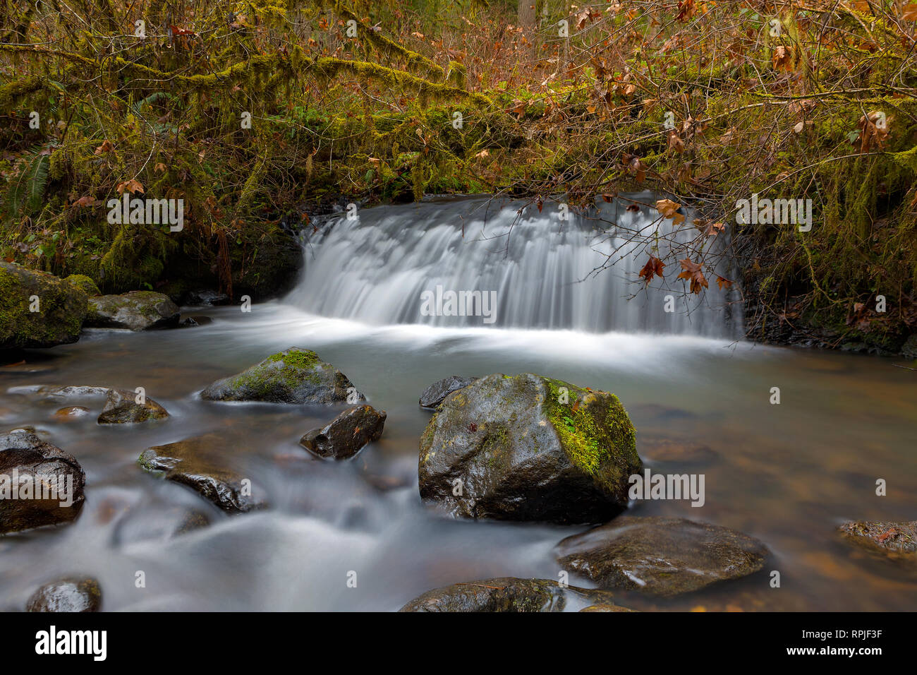 Waterfall at McDowell Creek County Park in Oregon Stock Photo