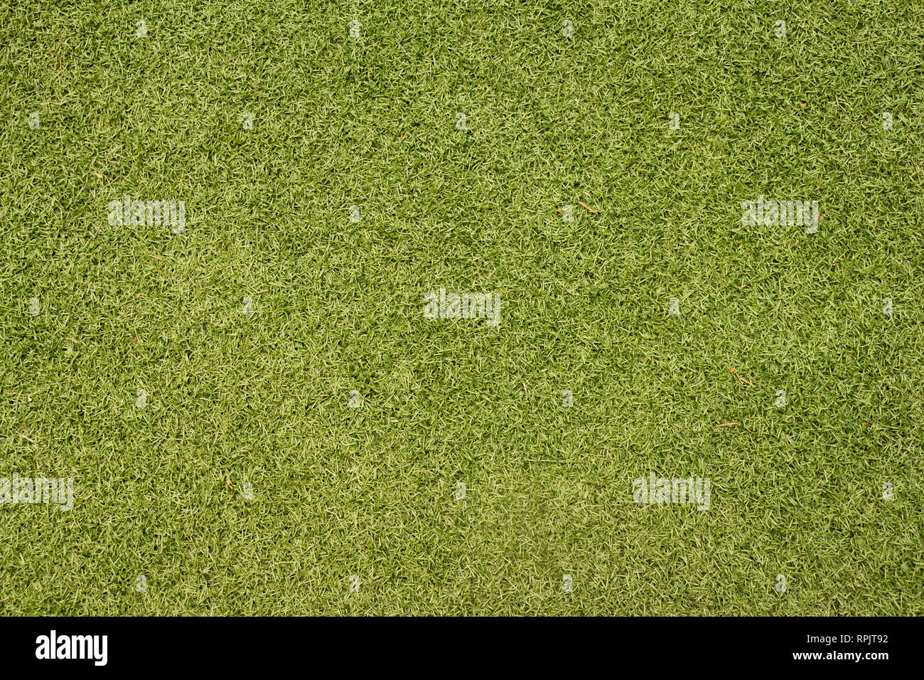 green grass texture background Stock Photo - Alamy