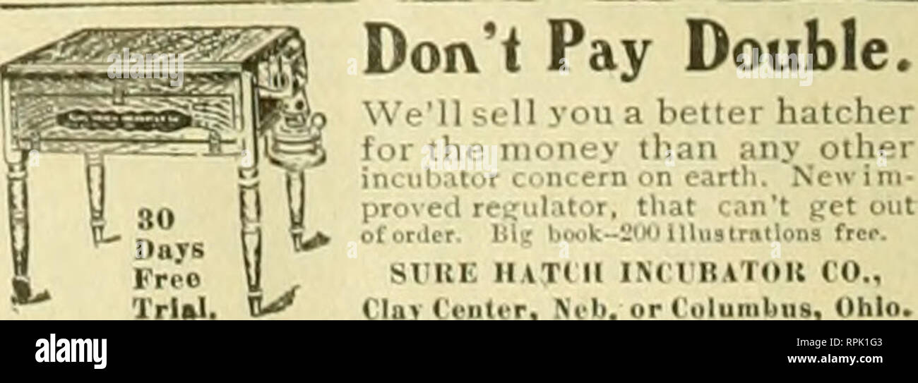 . American bee journal. Bee culture; Bees. ROUND INCUBATOR K. (.'. Bauerroinster, Norwood, Minn., goti93chick8 trom E.03 ept's. He followed direcCioDS. the ma- chine did the work, because it was buUt on right or crack. Regulation and ventilation perfect. Our free book gives more testimonialB aud full particulars. Everythinfij about incubation free. IOWA INCUBATOR COMPANr. BOX 198,DES MOINES, IOWA Please mention the Bee Journal. CREEi ? vewill send our. ?theCiani Red. 1 .„. ,,. ... itamps and the bors who are actual seed buye and packet of SEED ^the Giant Red, Madam Perrol PANSY if vou write be Stock Photo