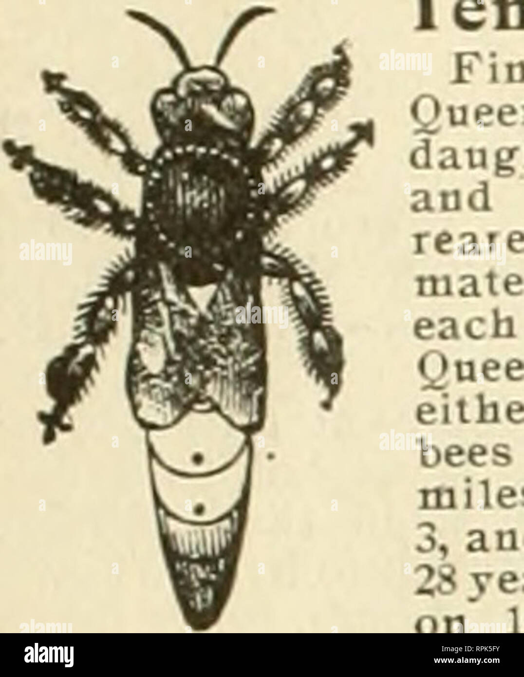人気No.1 L 254 5 hi-res stock photography and images - Alamy 邦楽