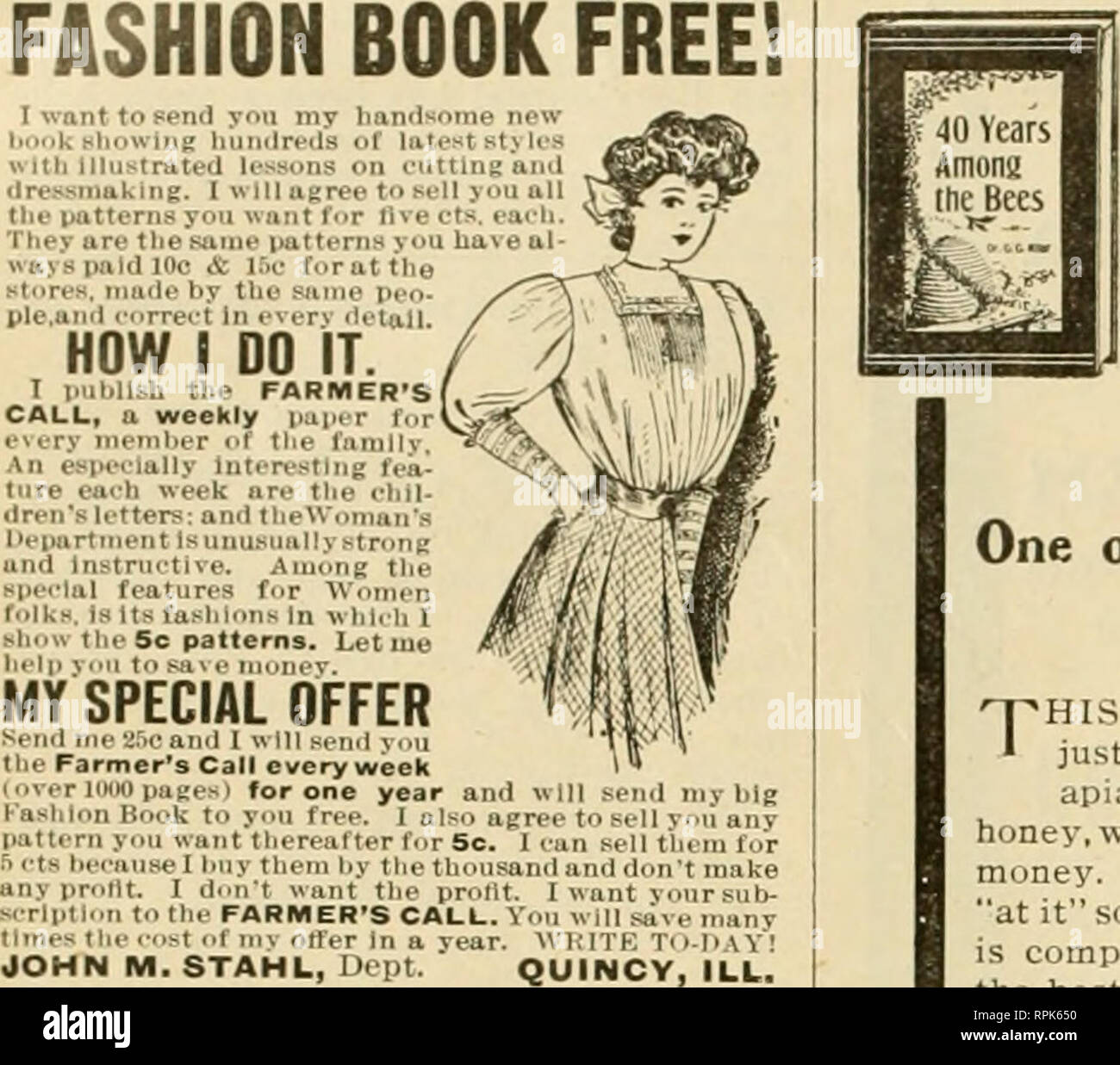 American bee journal. Bee culture; Bees. Octoher, 1908. American Hee  -Journal FASHION BOOK FREE! I want to Fend you my Imntisom* hocik fliowing  hundreds of latent with illustrated lessons on euttln