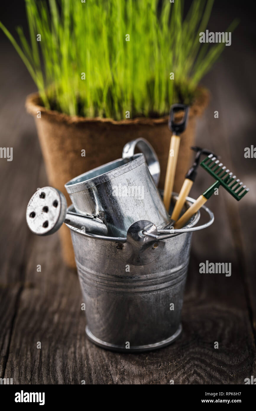 Garden tools in a bucket on a wooden table, closeup Stock Photo