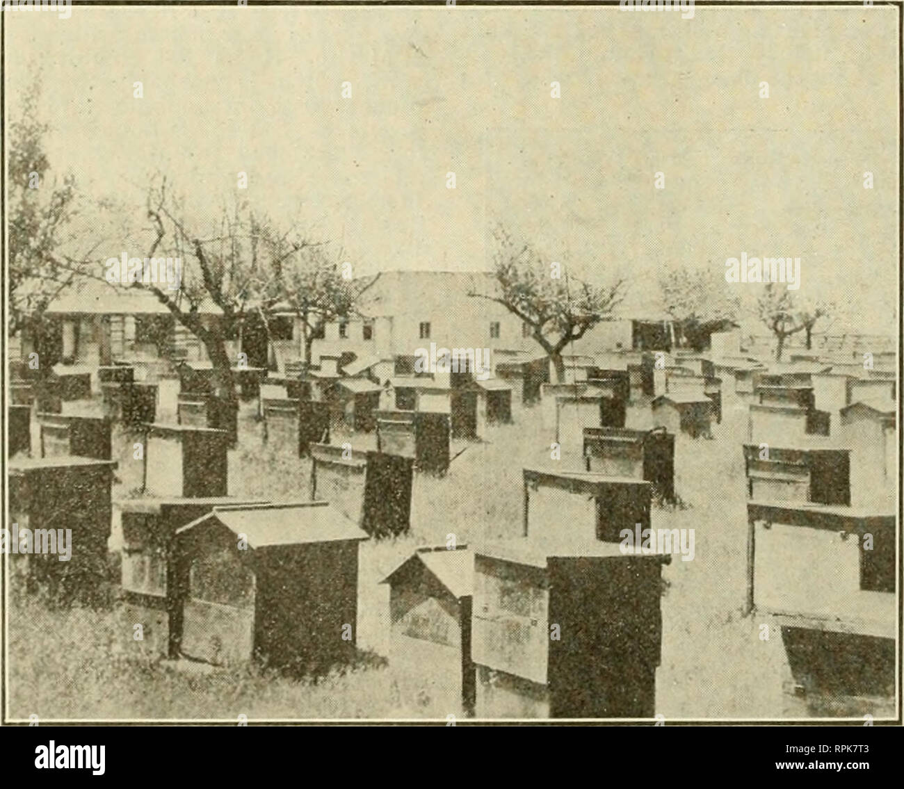 Ontario beekeepers association bee hires stock photography and images