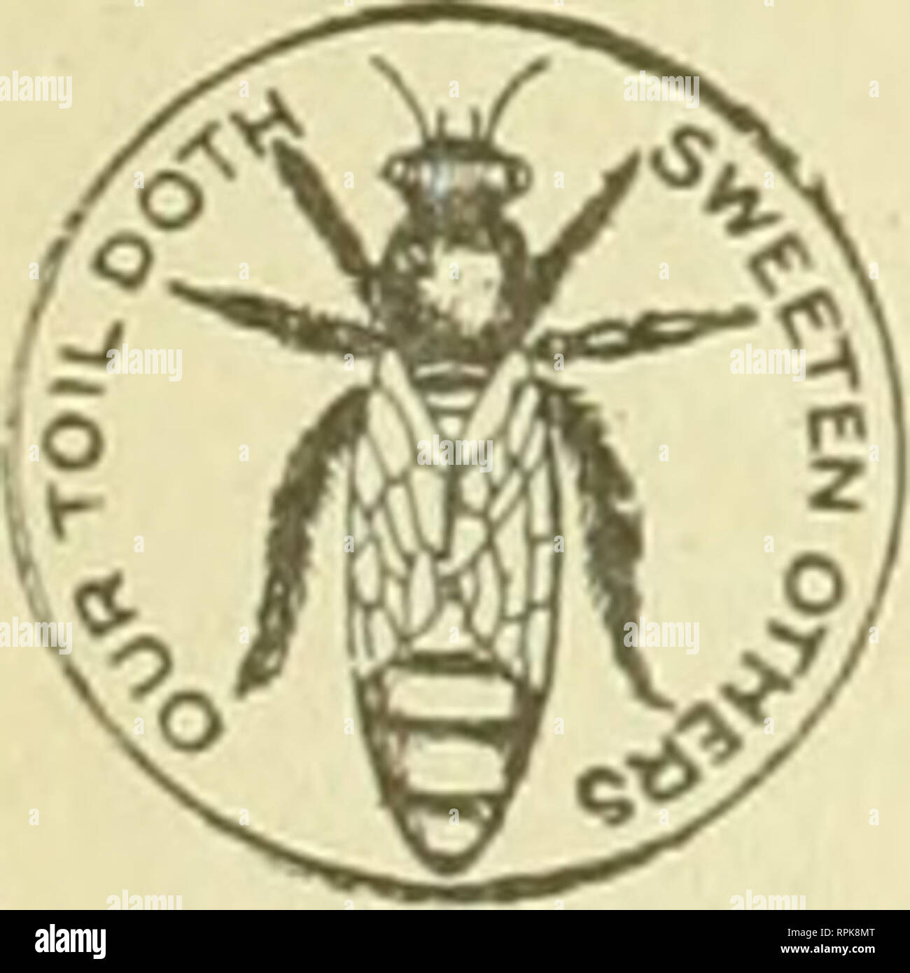 American Bee Journal Bee Culture Bees Weekly By 6e0rge W York