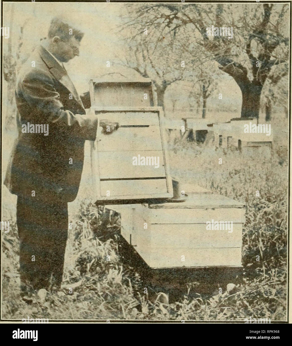 American Bee Journal Bee Culture Bees The Roberts Hartwick