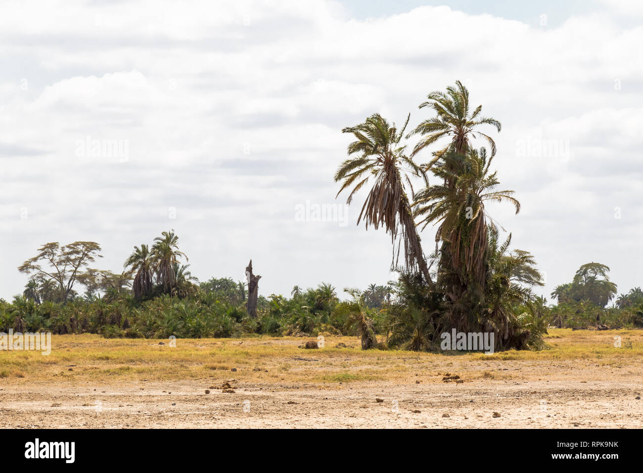 High view savannah hills hi-res stock photography and images - Alamy