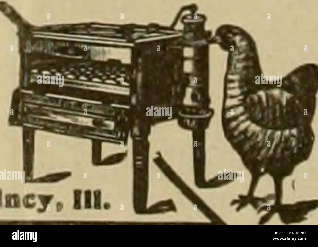 American Bee Journal Bee Culture Bees 848 The American Bee