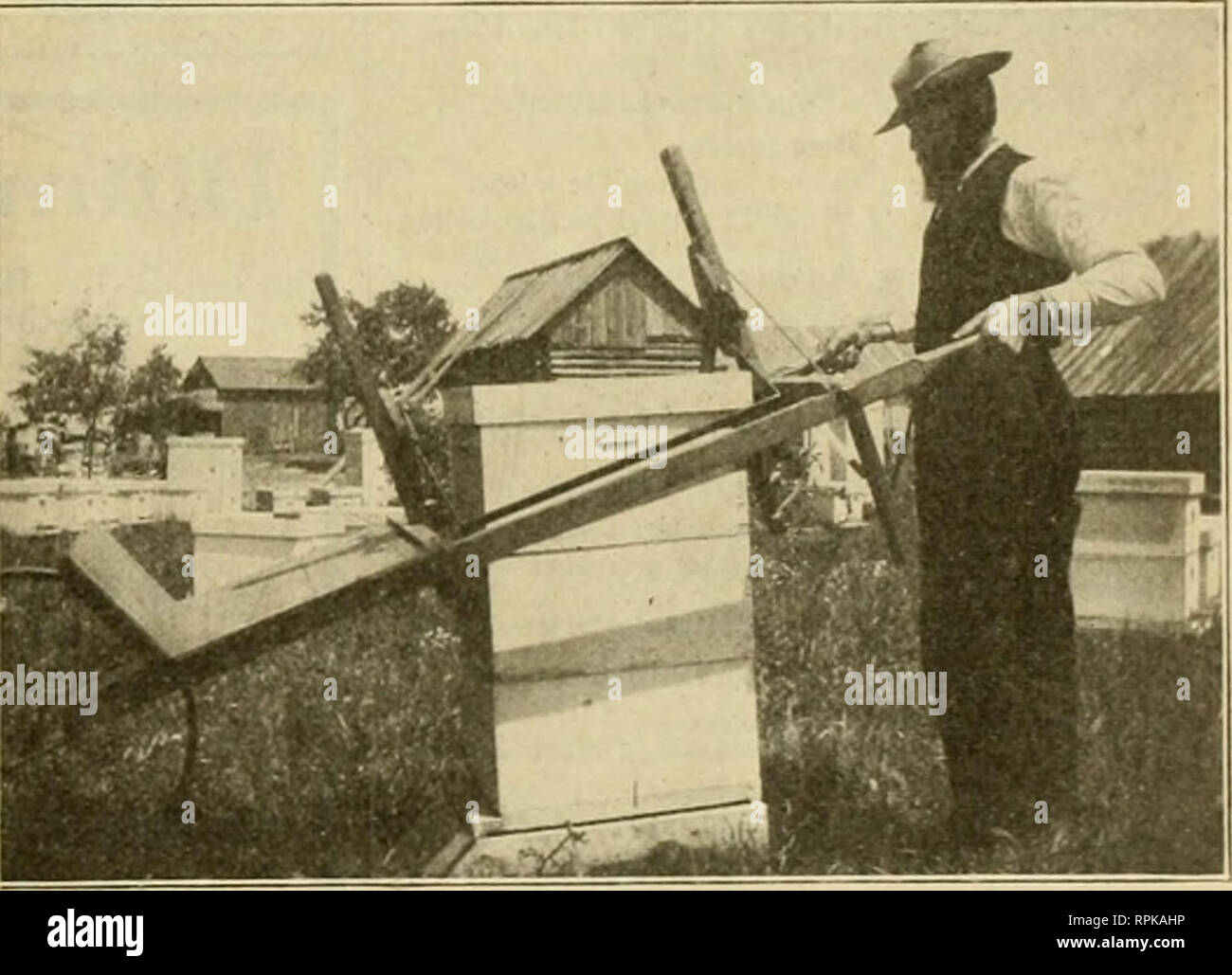 American bee journal. Bee culture; Bees. 48th Year No. «* August 