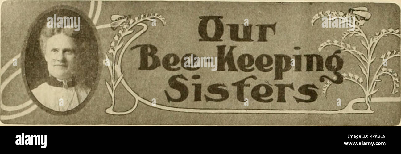 American Bee Journal Bee Culture Bees July 1908 American Hee