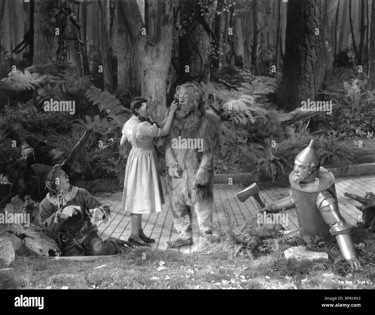 The Wizard of Oz 1939 Judy Garland as Dorothy Bert Lahr as Cowardly Lion Ray Bolger as Scarecrow  Jack Haley as Tin Man director Victor Fleming  Frank L Baum MGM Stock Photo
