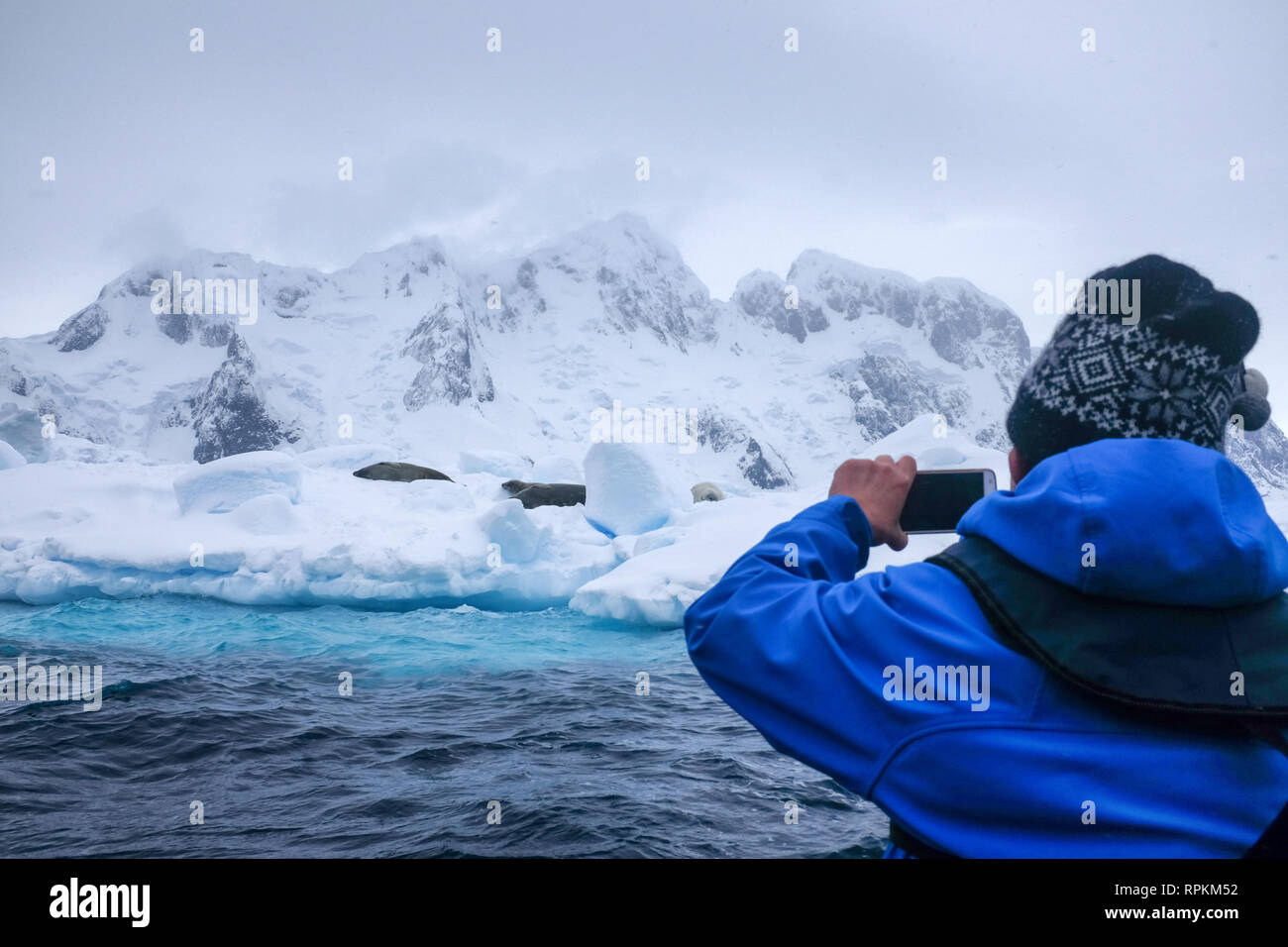 Scene of icebergs, penguins, seals, snow and ice in Antarctica, world's southernmost continent Stock Photo