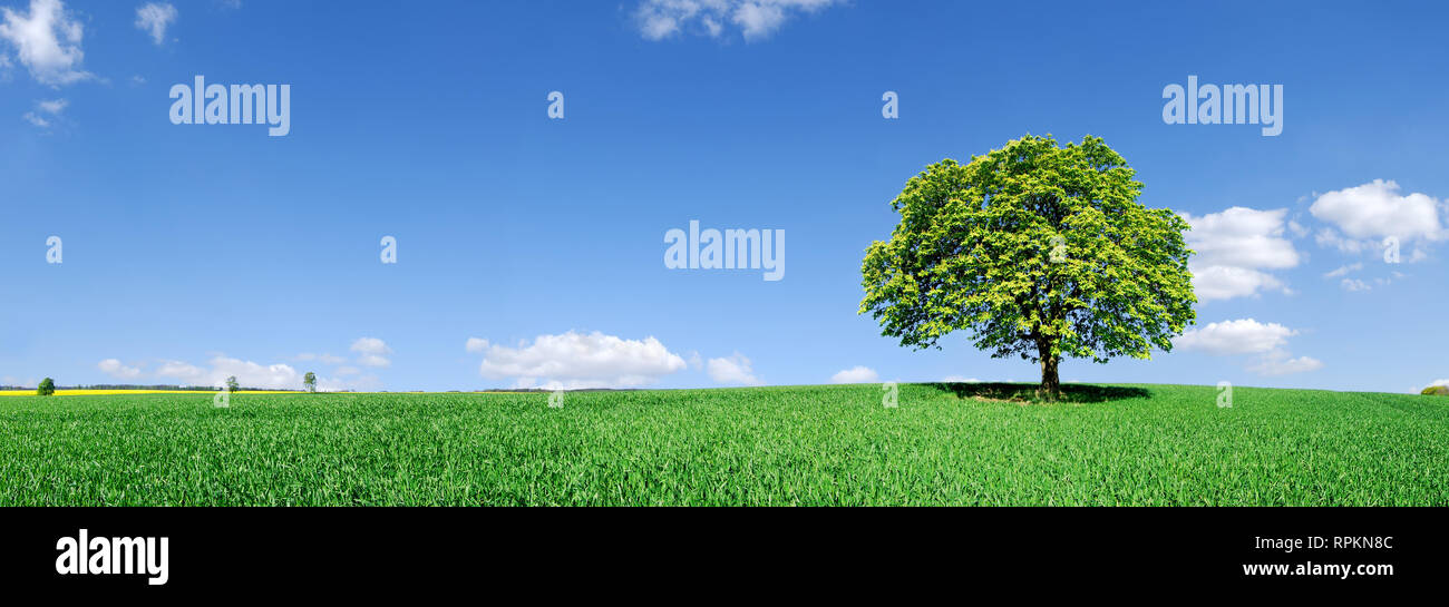 Outdoor idyll hi-res stock photography and images - Alamy