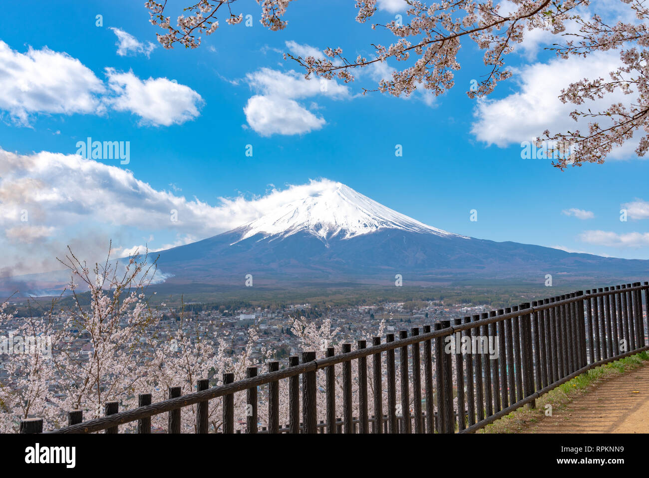 Mount Fuji ( Mt. Fuji ) with blue sky background in sakura cherry blossoms. Arakurayama Sengen Park, Fujiyoshida , Yamanashi, Japan Stock Photo