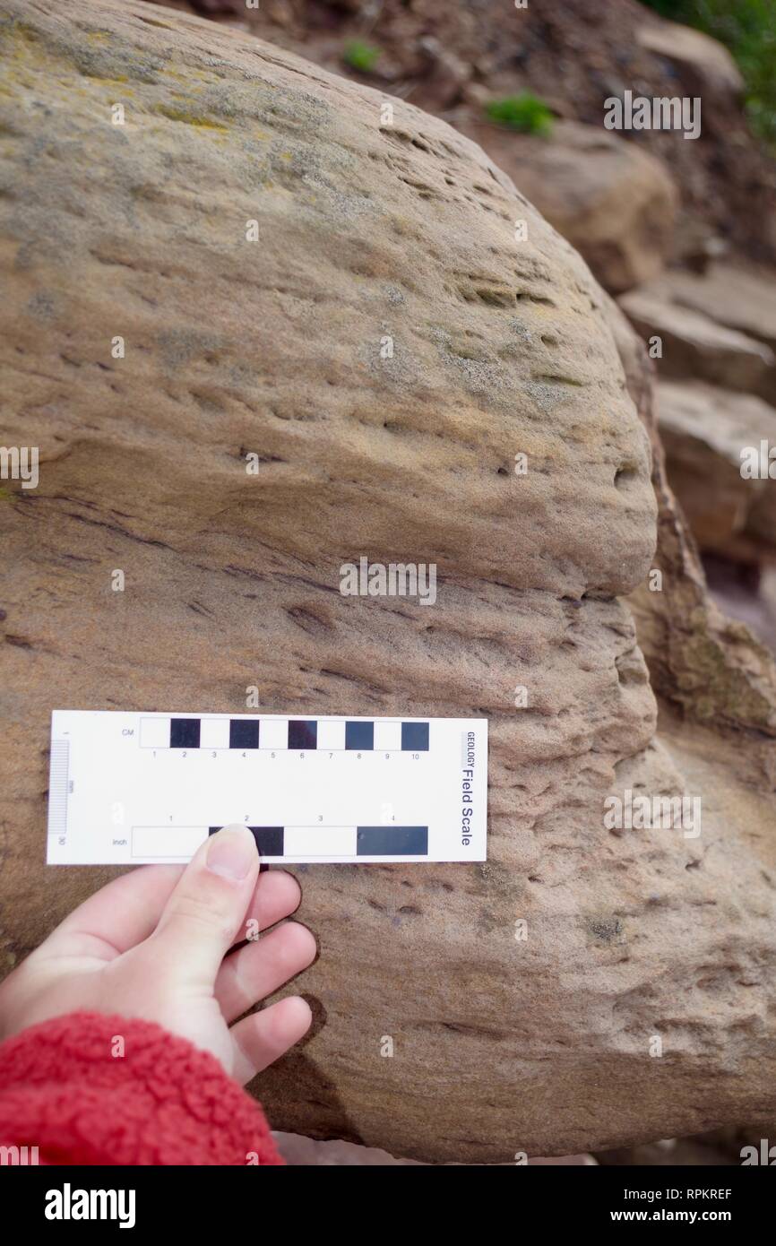 Wavy laminations hires stock photography and images Alamy