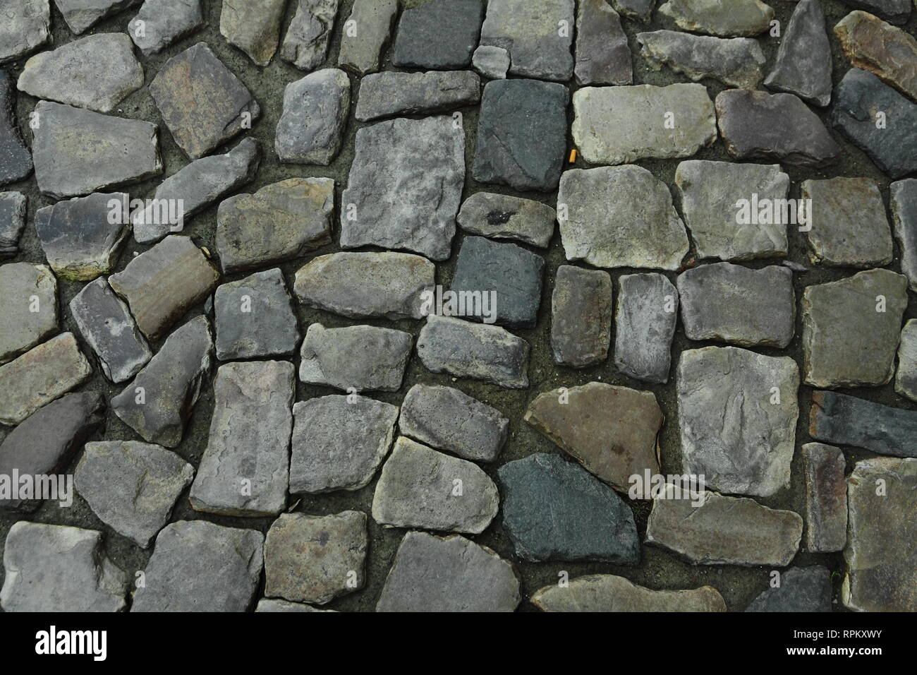 Walkway stones Stock Photo