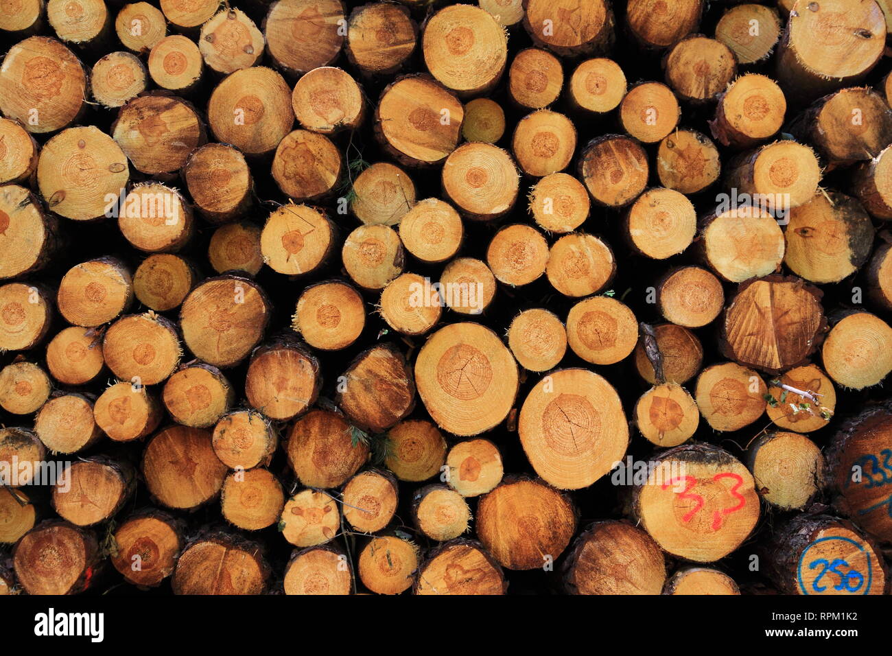 Round logs stacked stack wood hi-res stock photography and images - Alamy