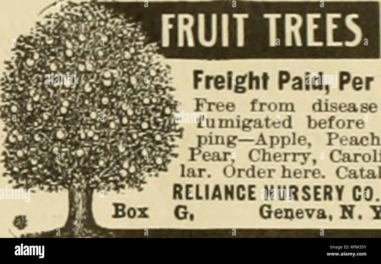 . American bee journal. Bee culture; Bees. Mention Bee Journal irhen frritlns.. Freight Paid, Per 100 | Free from disease; migated before sliip-&quot; ng—Apple. Peach, Plum, IT, Cherry, Carolina Pop- I (irderhere. Catalog Free. RELIANCE NURSERY CO., Gese' N.y'. Bee Jonrnal when writiDgr. MeatloB Bee Joomml whea wTttlac* = WE SELL: ROOT'S GOODS IN MICHIGAN Let us quote you prices on Sections, Hives. Foundation, etc.. as we can save you time and freight. Beeswa.x Wanted for Cash. H. M. HUNT &amp; SON, Redfard, Wayne Co., Mlcfilgao Mention Bee Jonrnal when wrltlns- EARLY CHICKS PAY BIfi. Please n Stock Photo