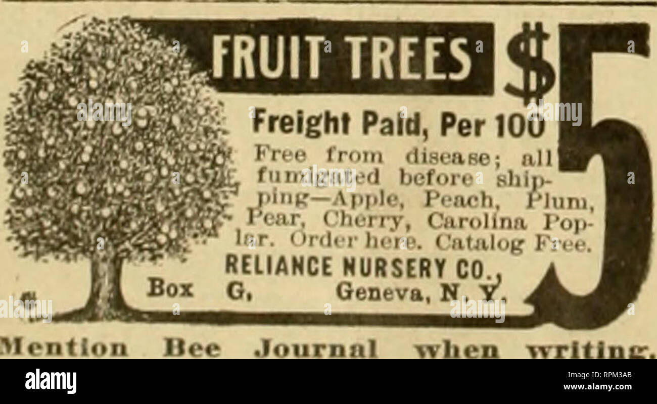 American bee journal. Bee culture; Bees. New Jersey Farms SIOO $5 Down $5  Monthly Climate and soil iiarticularly adaptecl t.i )..?,•«, fruits,  berries, earlv truck, vepetabu-s, poul- try and squabs. Proiluce