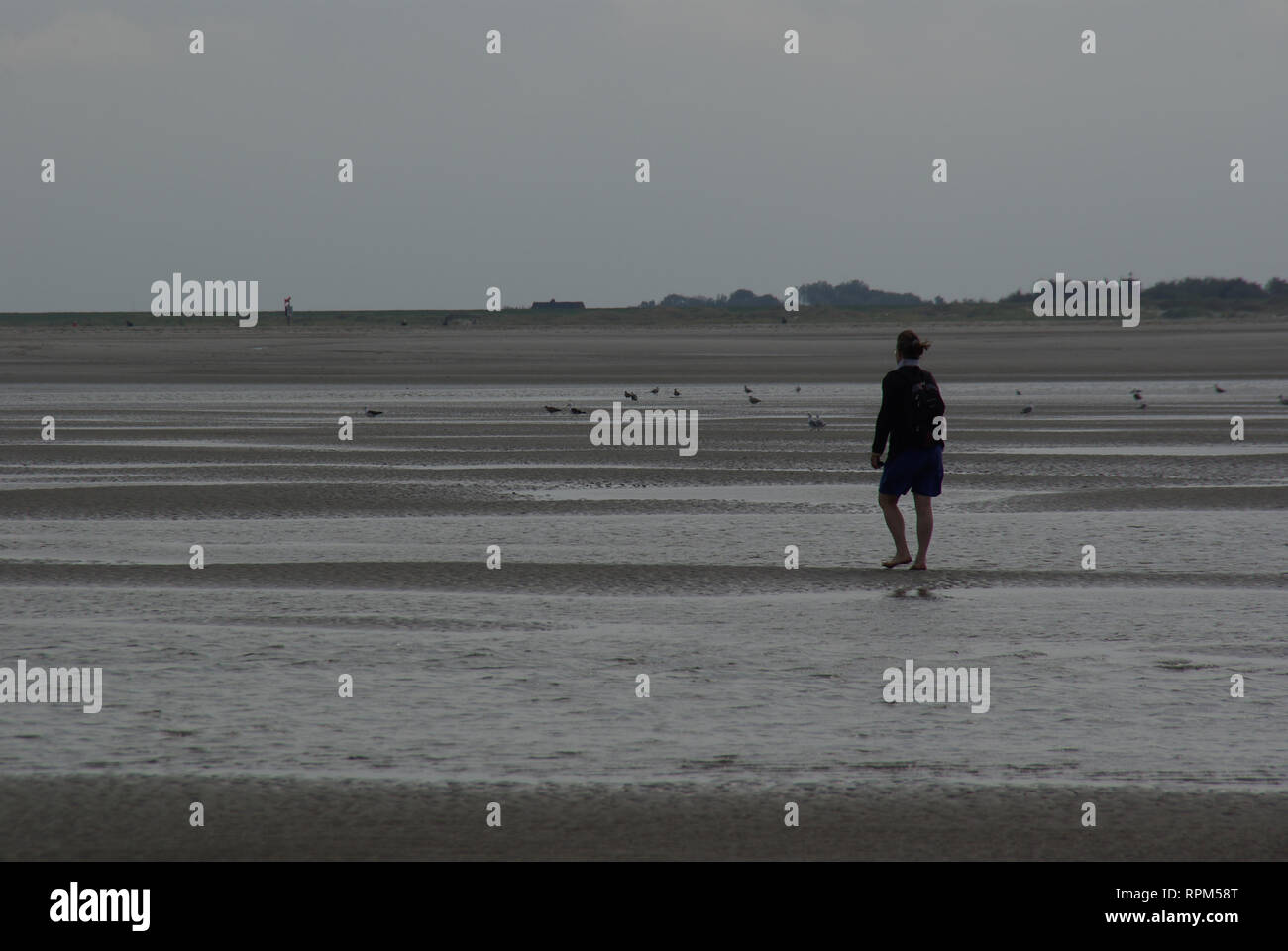 Walker in the mudflat of the North Sea Stock Photo