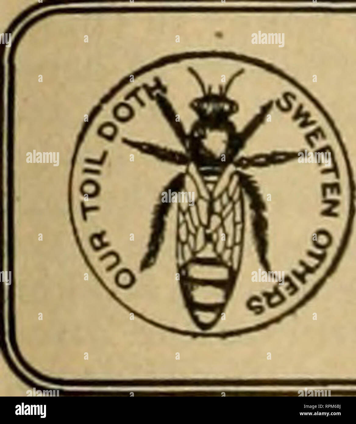 . American bee journal. Bee culture; Bees. VTiw pasty's dftcrtl^ougl^ts