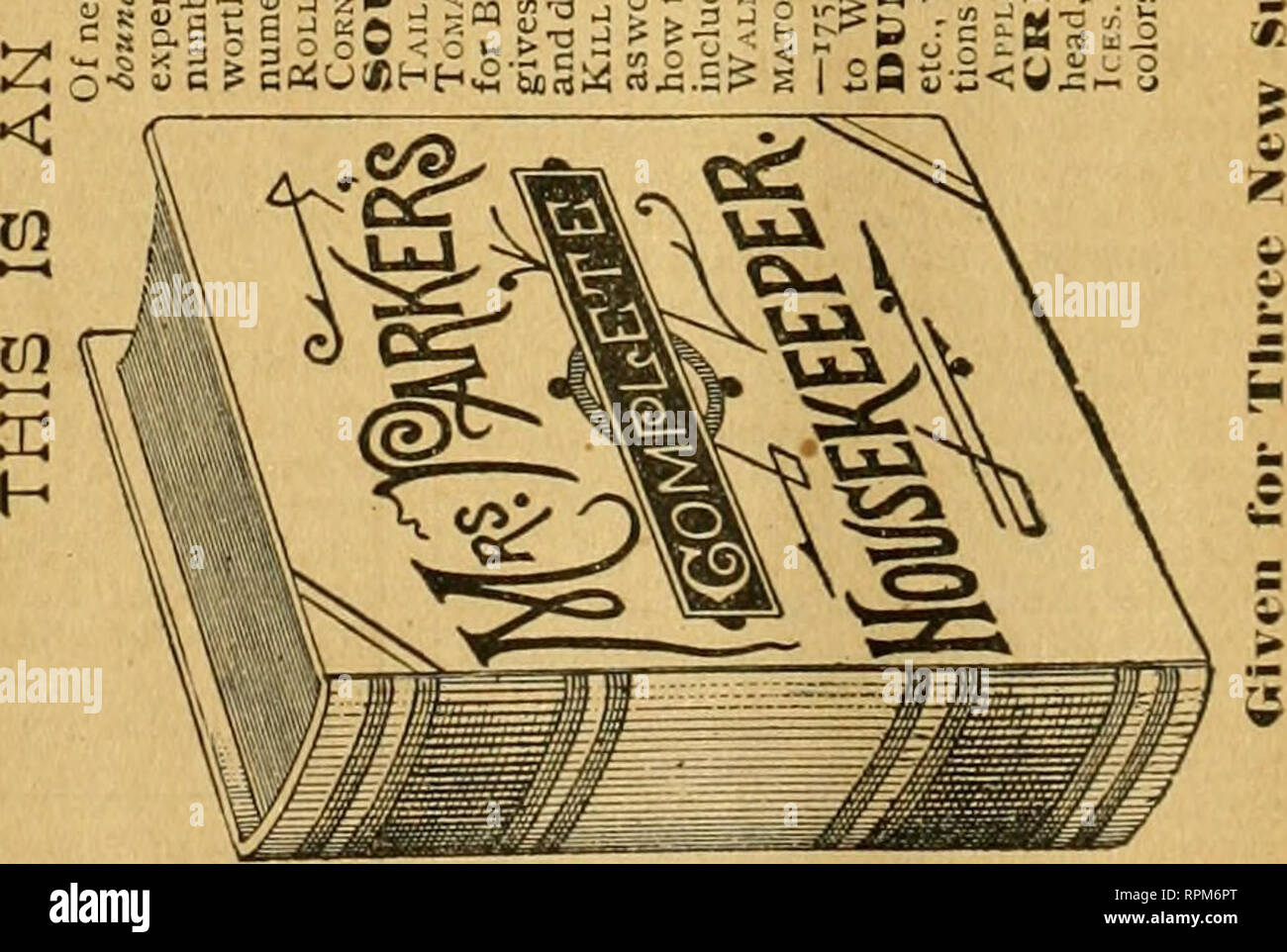 American Bee Journal Bee Culture Bees I G K Aj Rt Ni O Sri 3 J31 V C Gt Lt Rp Quot 7 I J Z 5 Quot F I O O American Bee Journal Bee Culture Bees I G K Aj Rt Ni O Sri 3 J31 V C Gt Lt Rp Quot 7 I J Z 5 Quot F I O O