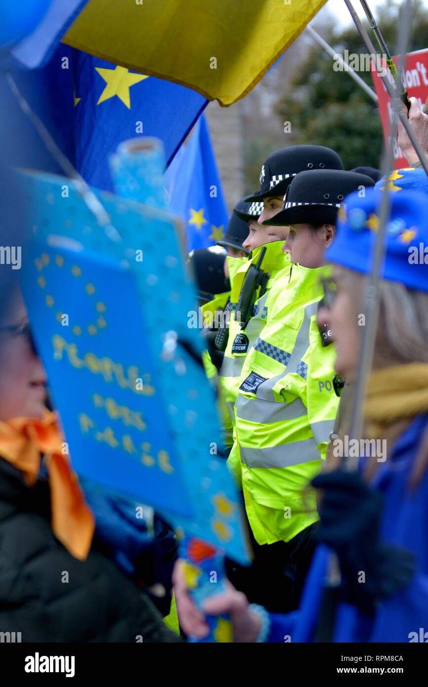 London, England, UK. Metropolitan Police officers policing anti-Brexit protest in Westminster Stock Photo